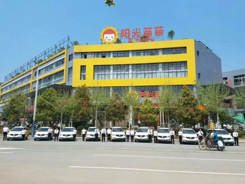 陽光苗苗唐志林說高培迪唯恩奶粉：高質(zhì)平價(jià)一款性價(jià)比極高的奶粉1