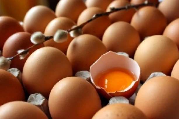 給寶寶多吃些這兩種食物 寶寶聰明長得高