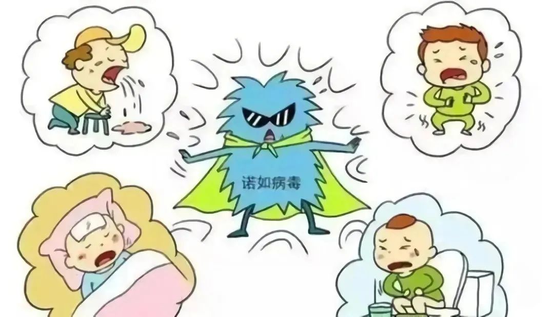 諾如病毒感染已進(jìn)入高發(fā)季，我們?nèi)绾伪Ｗo(hù)家人
