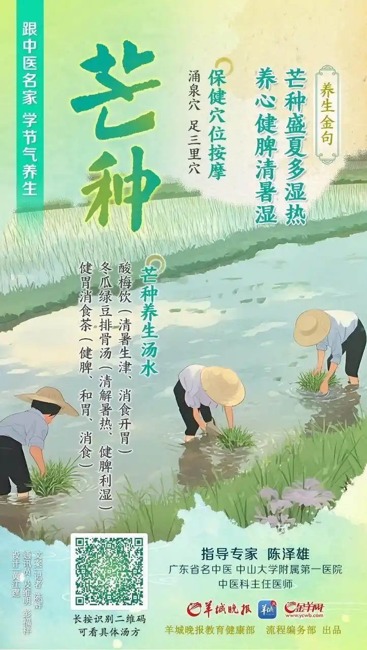 節(jié)氣養(yǎng)生｜芒種盛夏多濕熱，養(yǎng)心健脾清暑濕