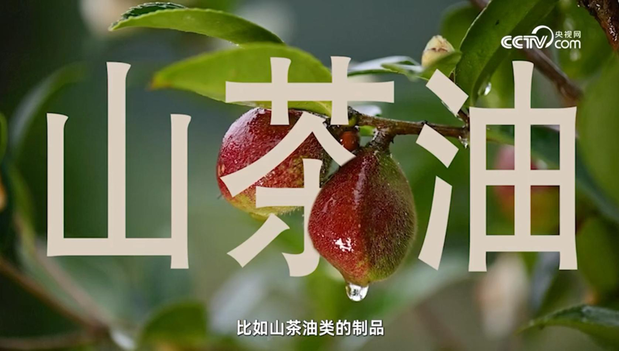 CCTV點贊，松達山茶油嬰童面霜連續(xù)5年全國銷量第一!